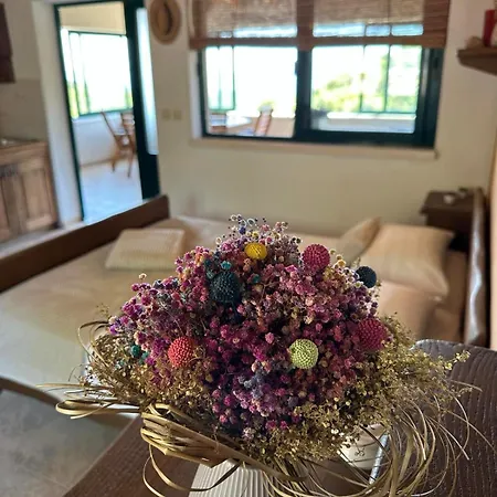 Dom wakacyjny Kuca Za Odmor Samograd