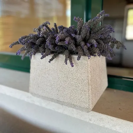 Kuca Za Odmor Samograd * Zrnovo